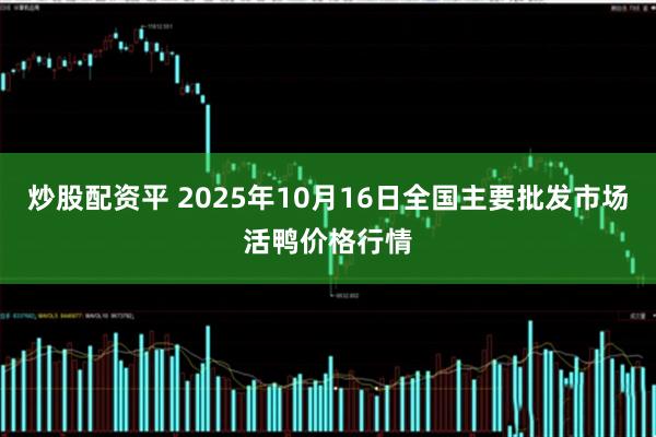 炒股配资平 2025年10月16日全国主要批发市场活鸭价格行情