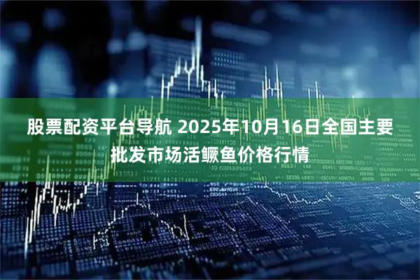 股票配资平台导航 2025年10月16日全国主要批发市场活鳜鱼价格行情