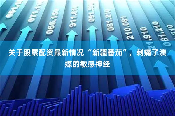 关于股票配资最新情况 “新疆番茄”，刺痛了澳媒的敏感神经